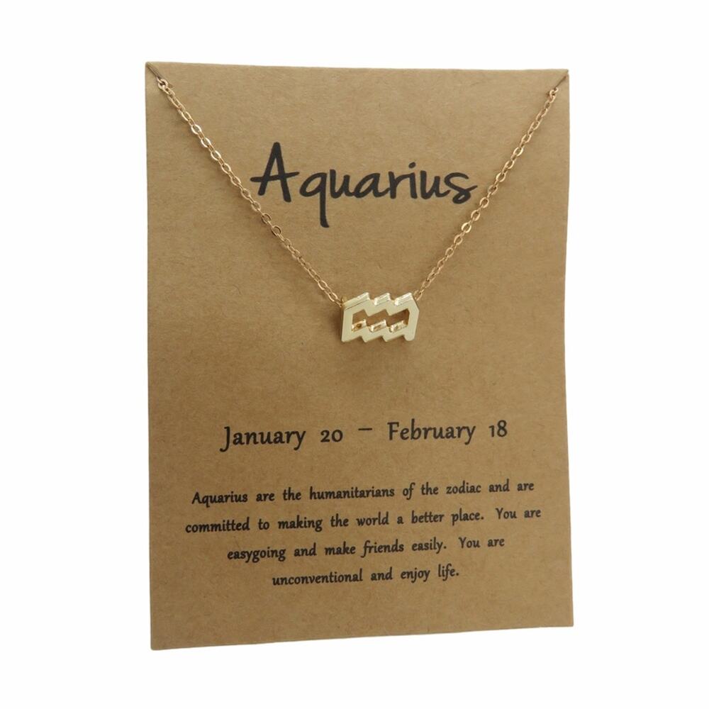 Francesca's Aquarius Pendant Necklace Horoscope Zodiac Necklace